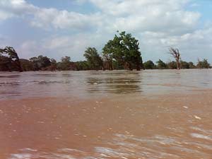 mekong