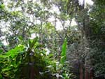 Ambiente