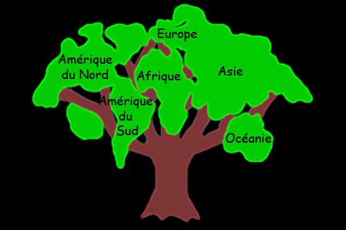 carte des continents 