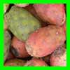 Fruits