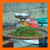 marché sukothai