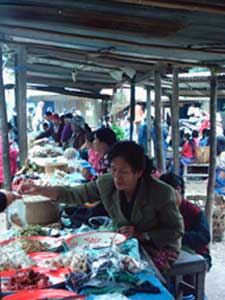 pakbeng
