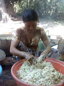 salade soja