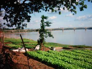 Pakse
