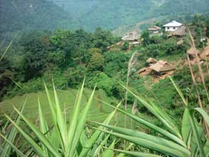 paysage