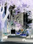 rue de Rio