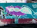 graffiti