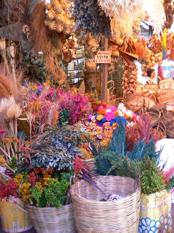 fleurs séchées