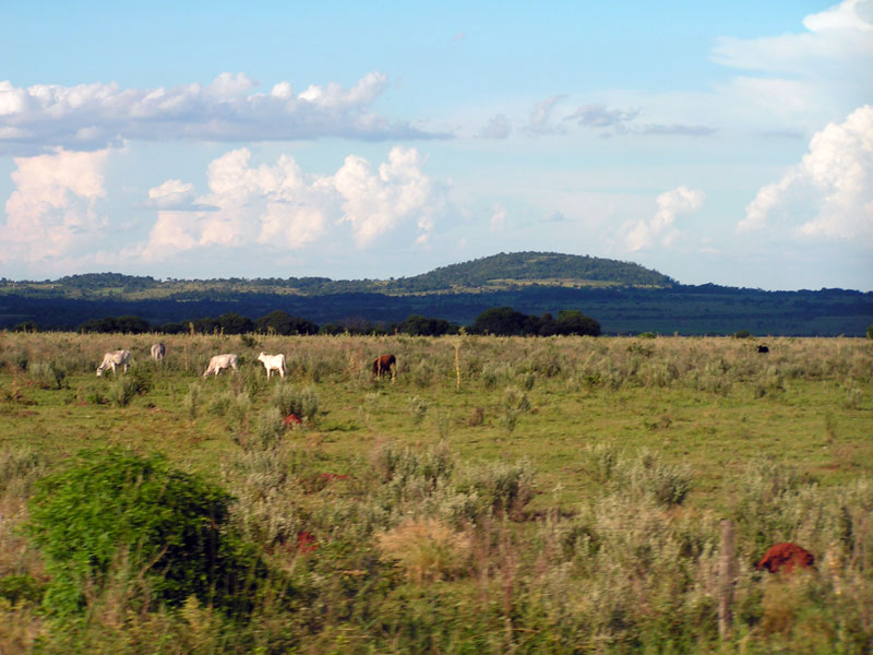 paysage au Paraguay