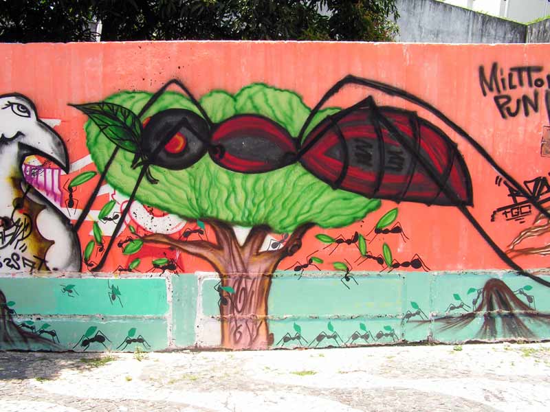 graffitis