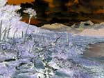 Paysage