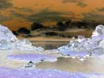 Paysage