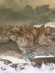 Glacier