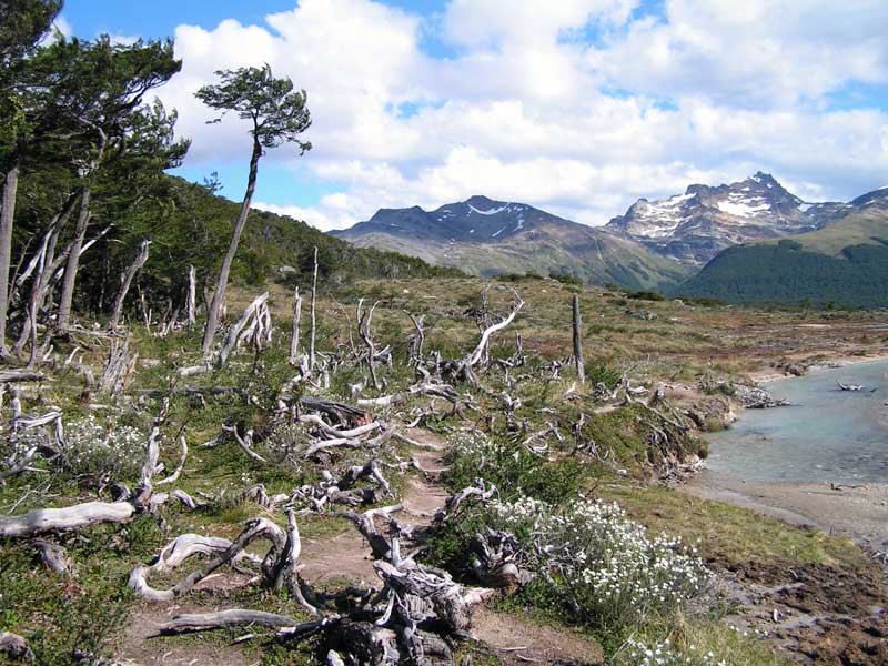 Paysage