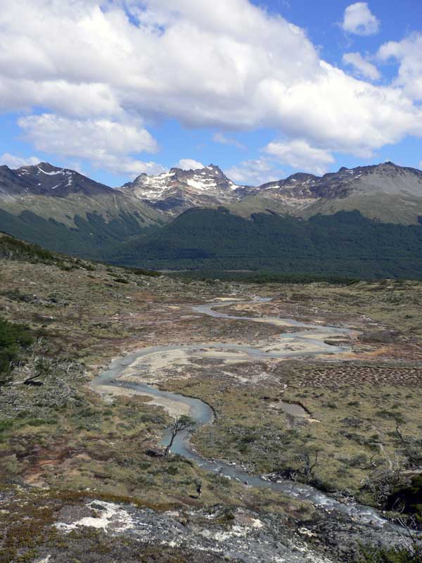 Paysage