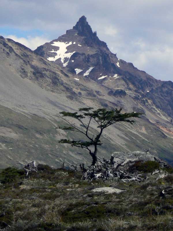 Paysage
