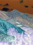 paysage