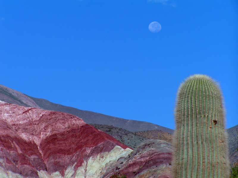 paysage