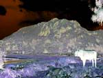 paysage