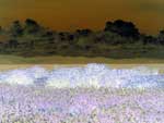 paysage