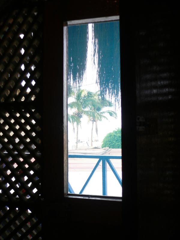 cocotiers