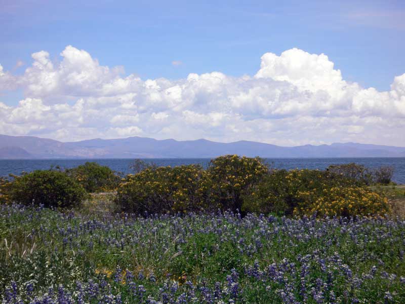 paysage