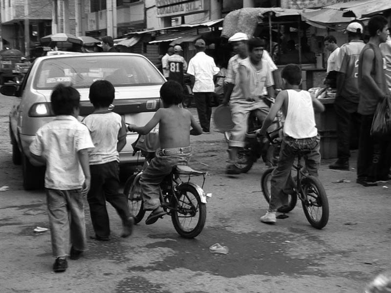 vélos