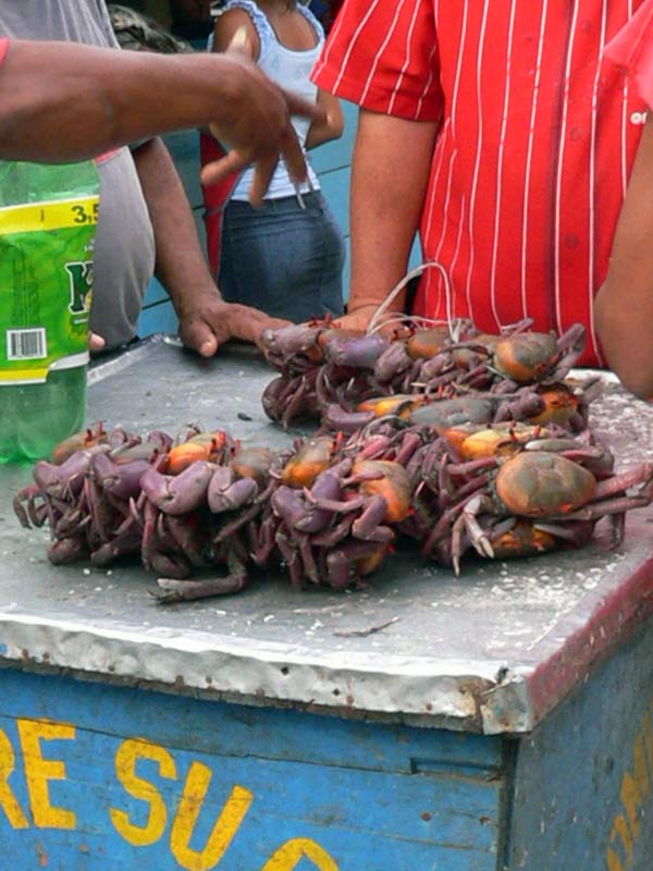 crabes