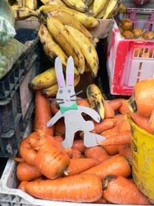 carottes